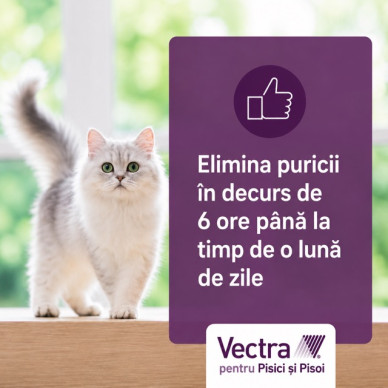 Vectra Felis, 3 pipete spot-on pentru pisici contra puricilor